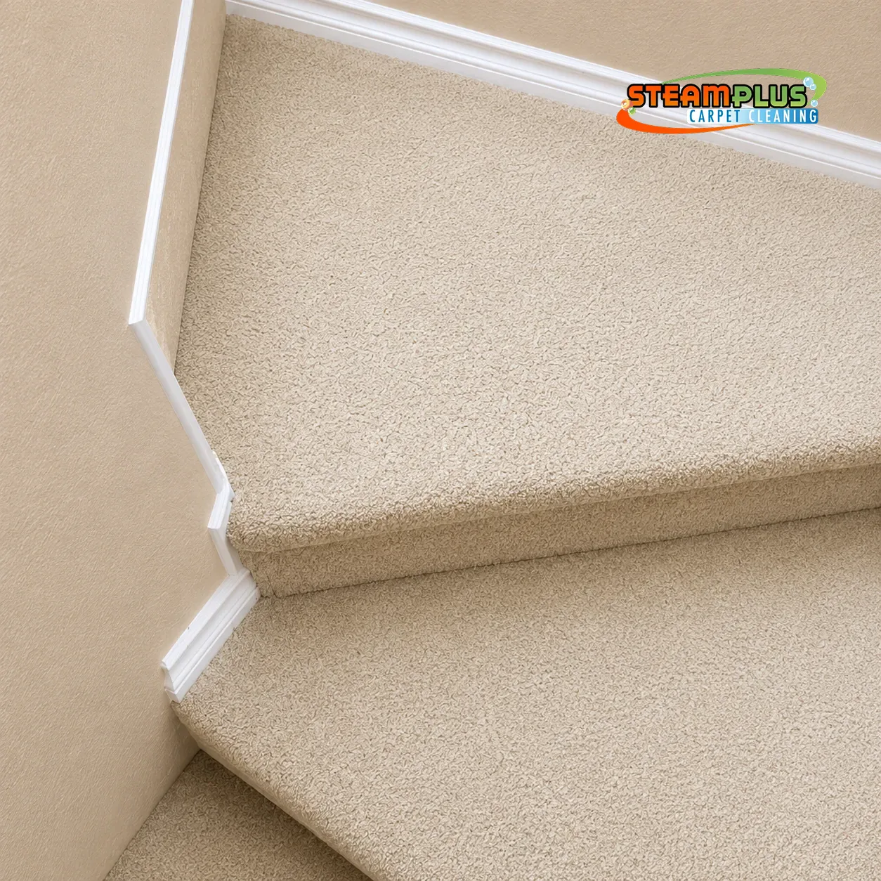 Before-Stairs-Carpet-Cleaning Before-Stairs-Carpet-Cleaning